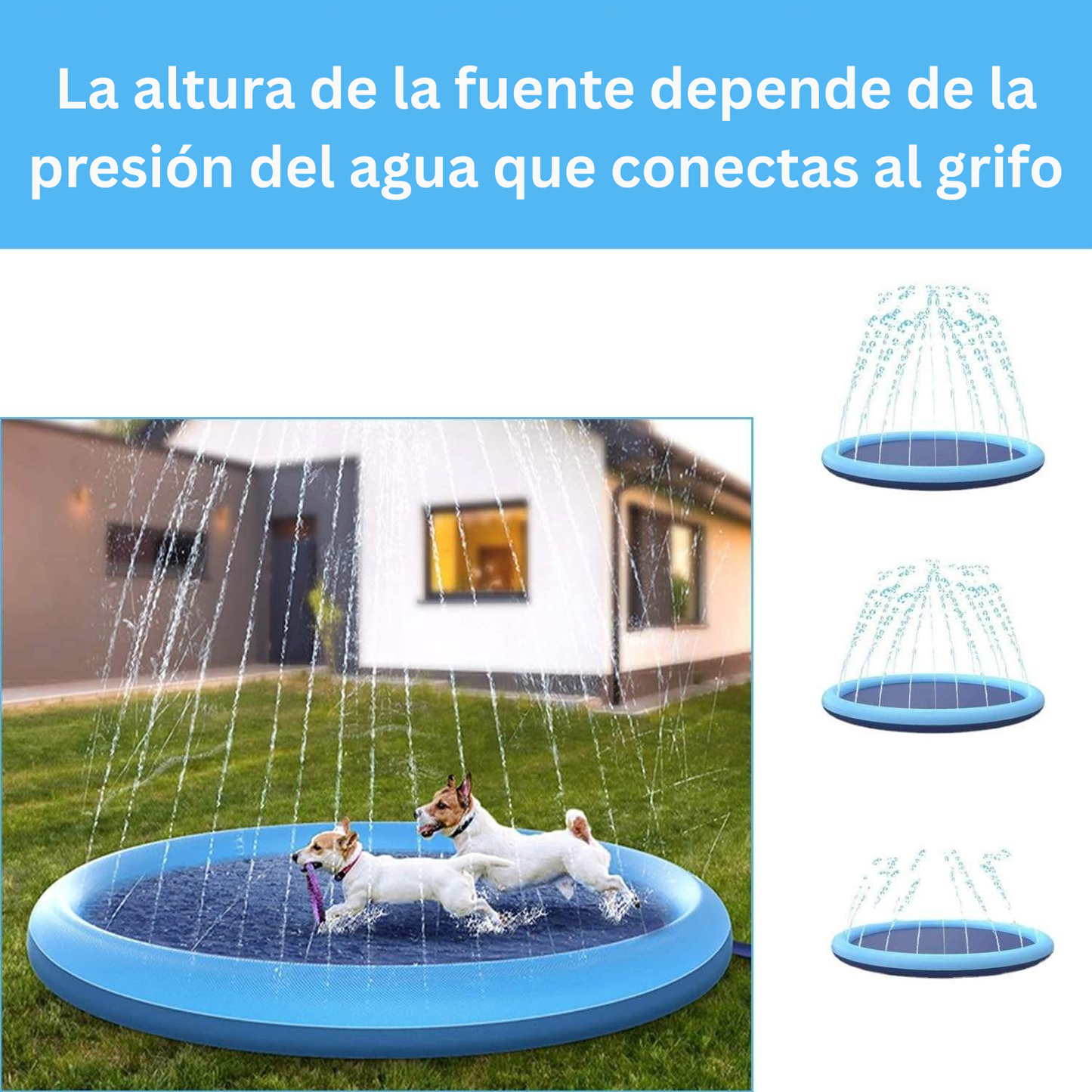 Alfombra Aspersor para Mascotas PVC | Piscina Plegable Antipinchazos 1m | Stock Líder