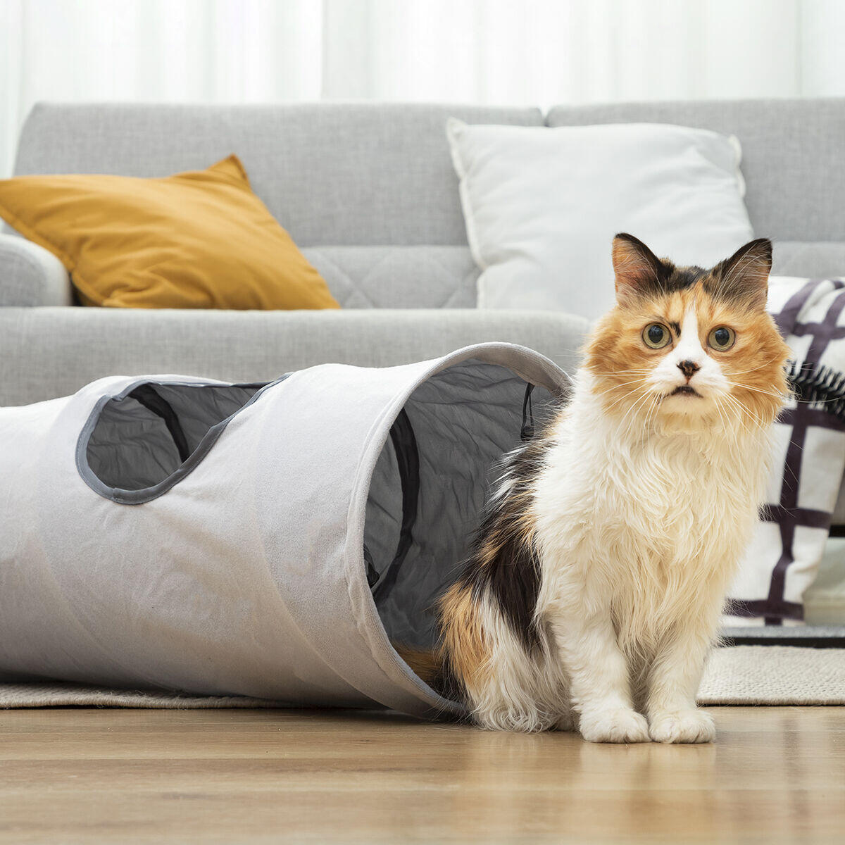2-in-1 Foldable Tunnel for Cats - Toy and Shelter