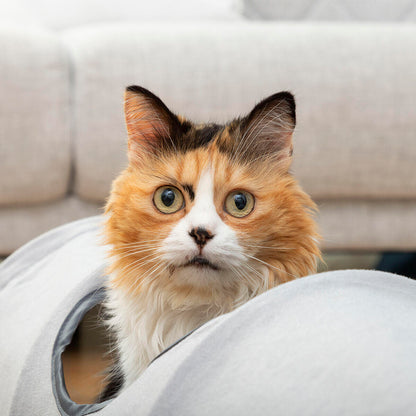 2-in-1 Foldable Tunnel for Cats - Toy and Shelter