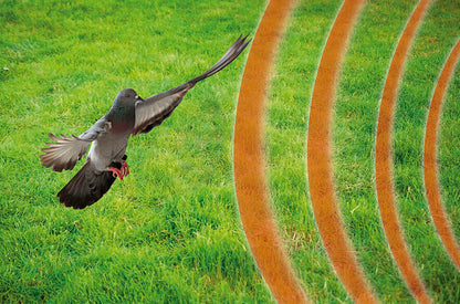 Espanta-Animais Solar Inteligente OWL GUARDS | Coruja com Ultrassom e Luz