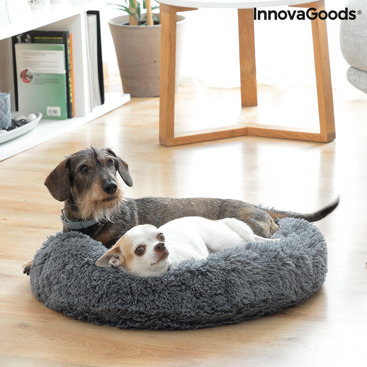 Cama Antiestresse para Animais de Estimação | Pequena a Média Ø 60 cm | Bepess InnovaGoods