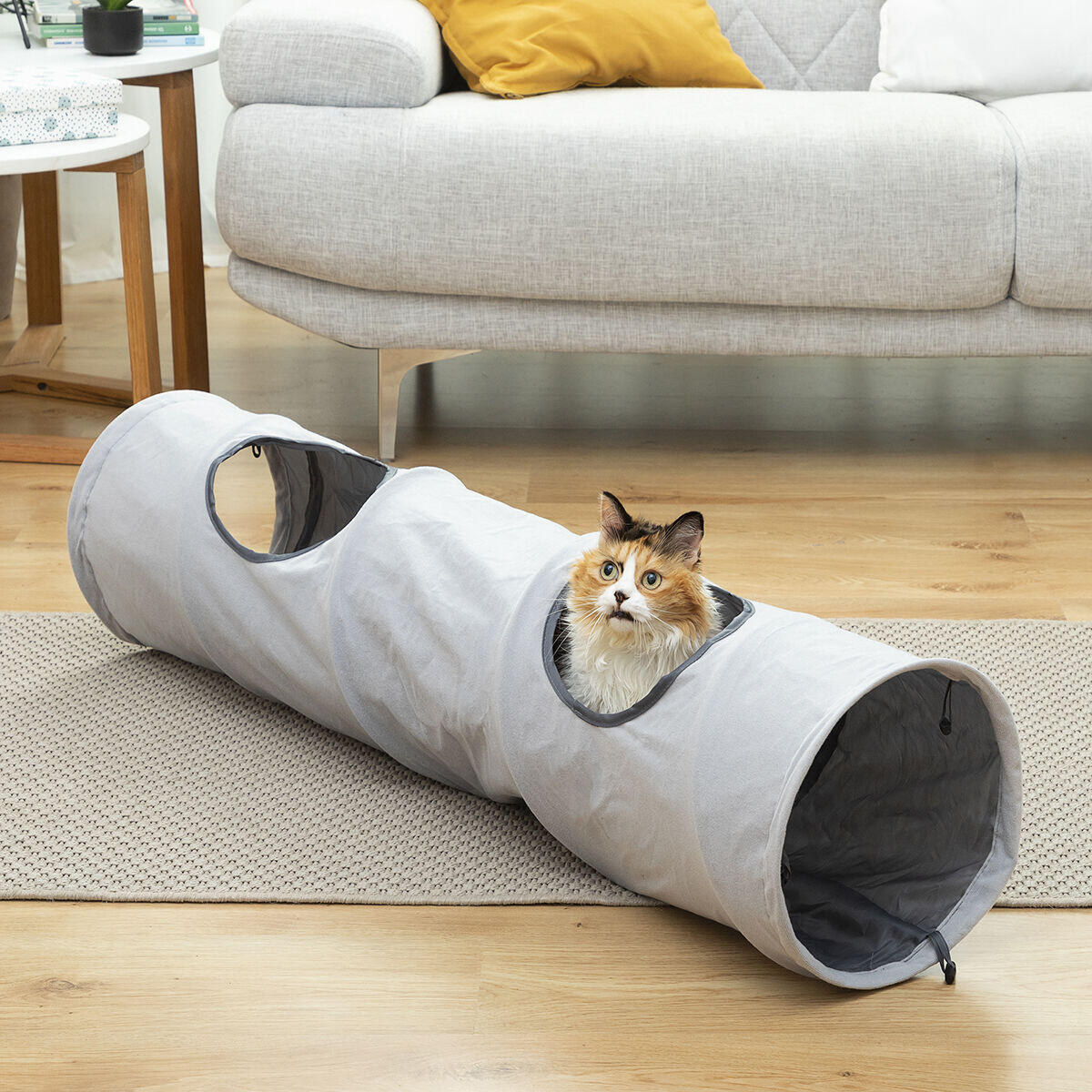 2-in-1 Foldable Tunnel for Cats - Toy and Shelter