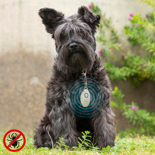 Antiparásitos por Ultrasonidos Recargable para Mascotas - PetRep
