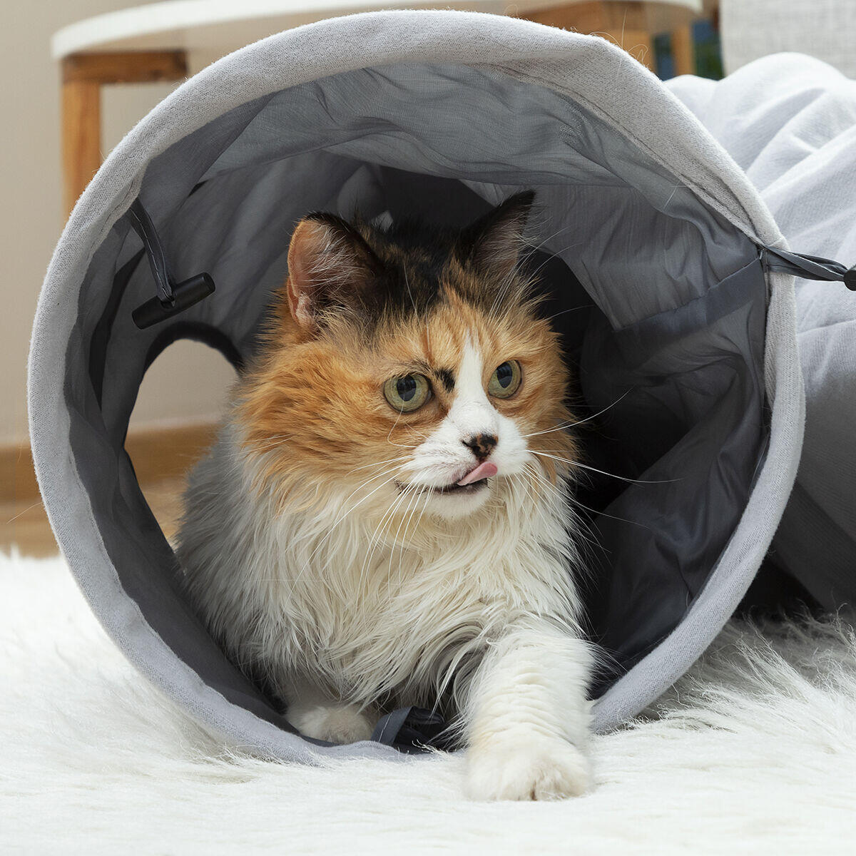 2-in-1 Foldable Tunnel for Cats - Toy and Shelter