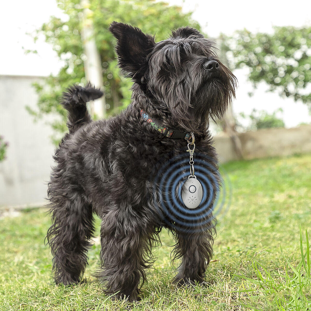 Rechargeable Ultrasonic Pet Parasite Remover - PetRep
