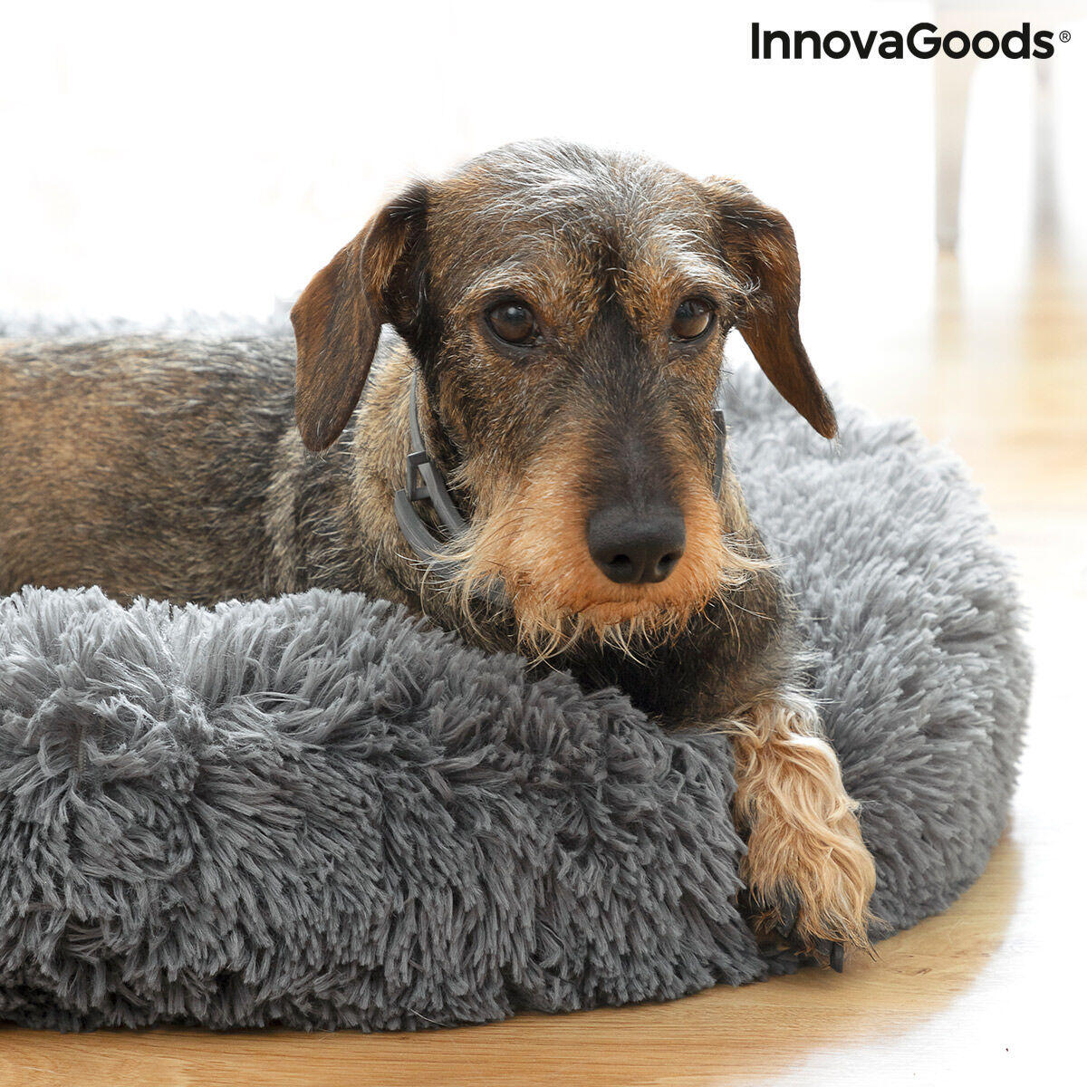 Cama Antiestresse para Animais de Estimação | Pequena a Média Ø 60 cm | Bepess InnovaGoods