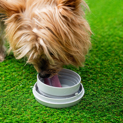 Trela Retrátil para Cães 6 em 1 - Luz LED, Bebedouro e Compartimentos | InnovaGoods