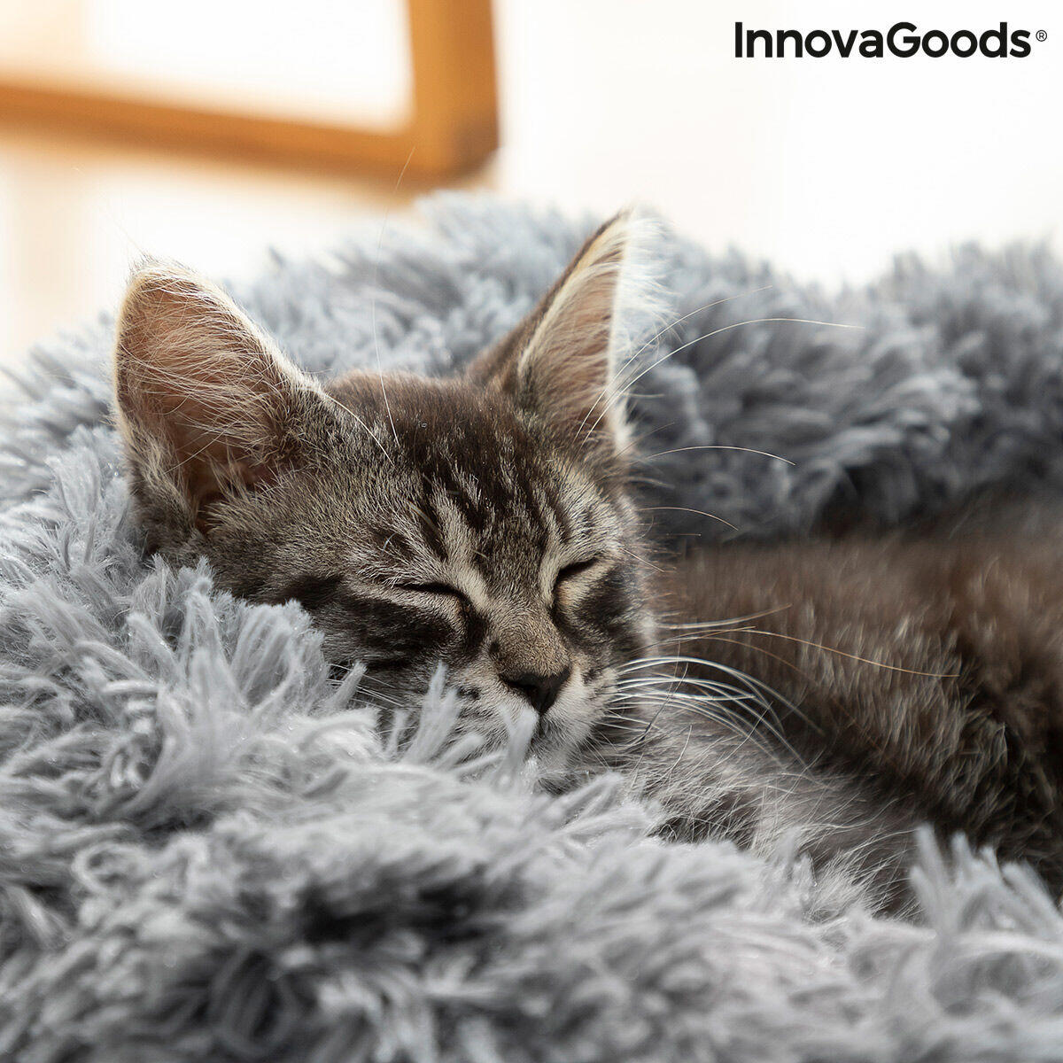 Cama Antiestresse para Animais de Estimação | Pequena a Média Ø 60 cm | Bepess InnovaGoods